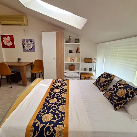Elit1 Forrent * Slăntjev Brjag