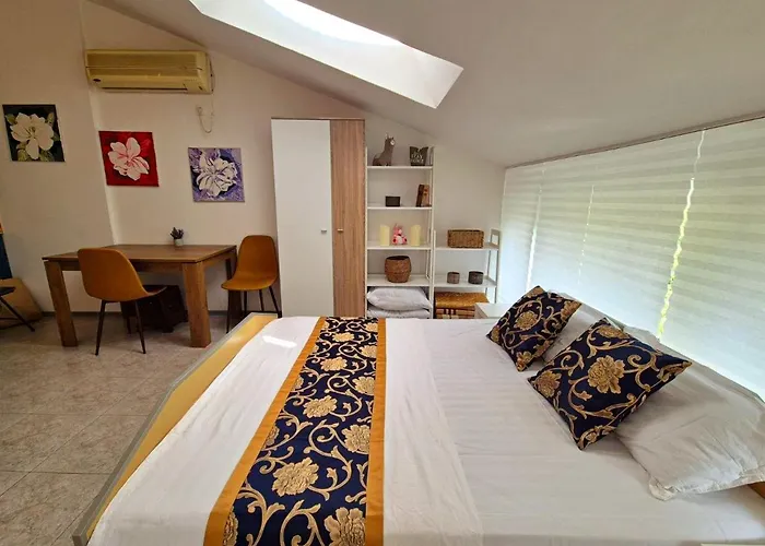 Elit1 Forrent * Слънчев бряг