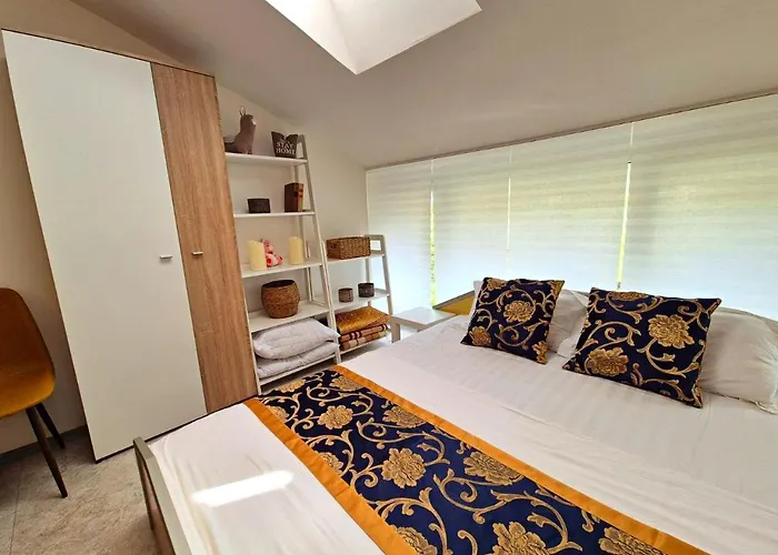 Elit1 Forrent * Слънчев бряг