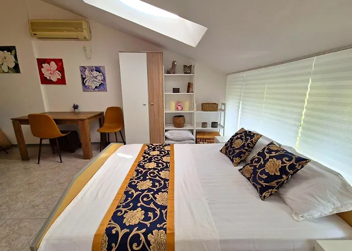 Elit1 Forrent Sunny Beach